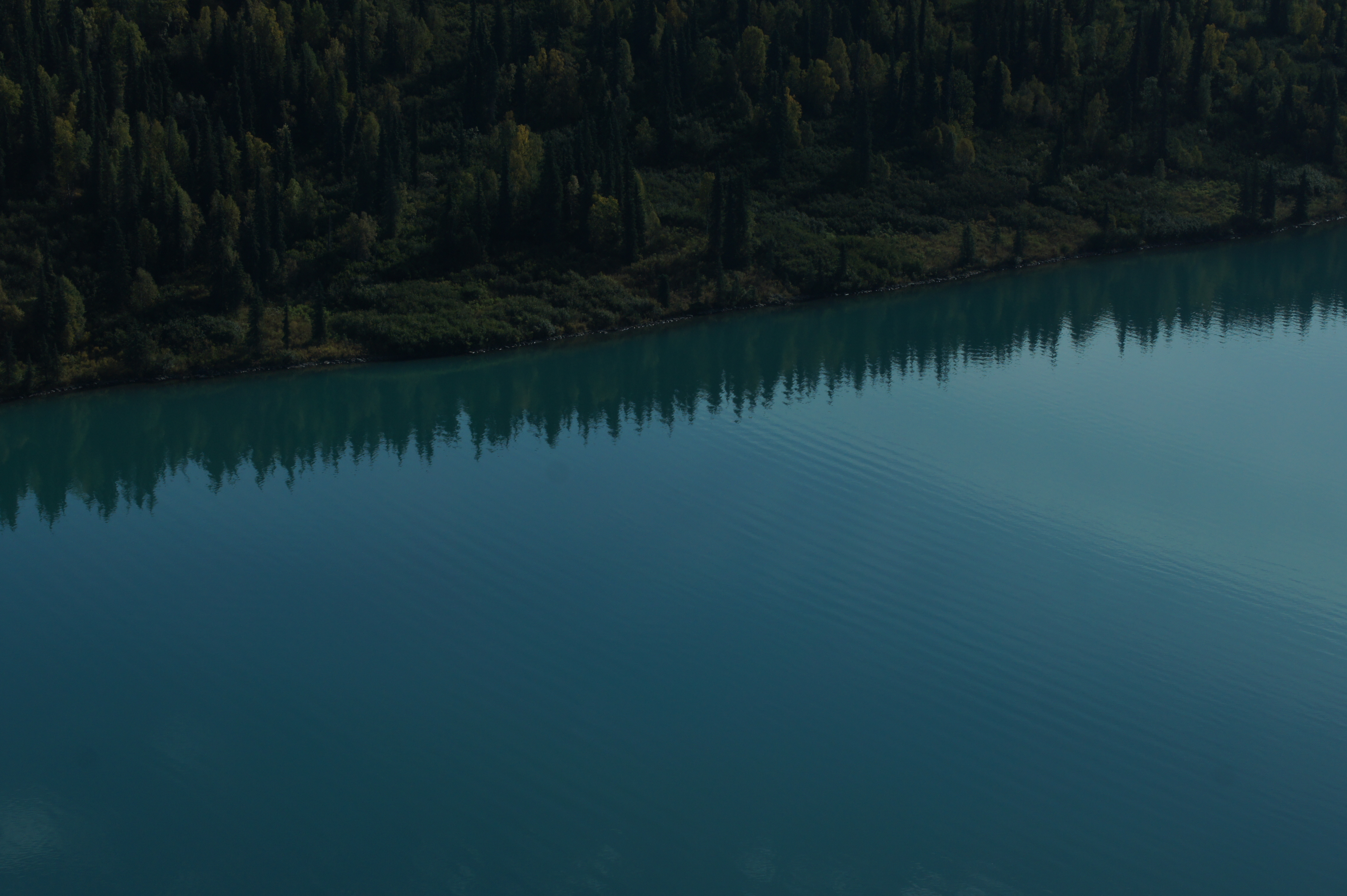 Click to return to the thumbnail index